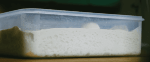 Cold fermentation